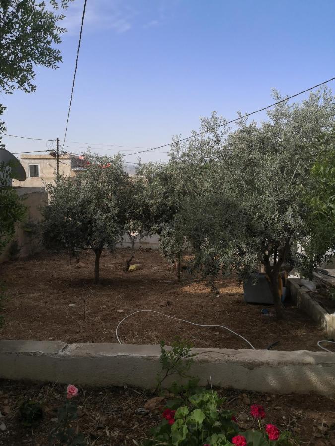 White Tulips Apartment الزنبقة البيضاء Jarash Exterior photo