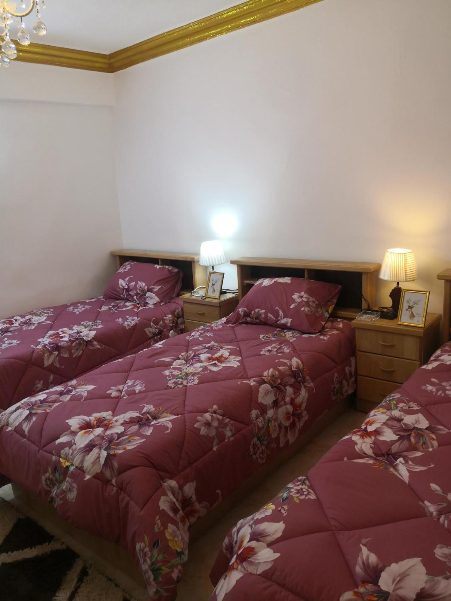 White Tulips Apartment الزنبقة البيضاء Jarash Exterior photo