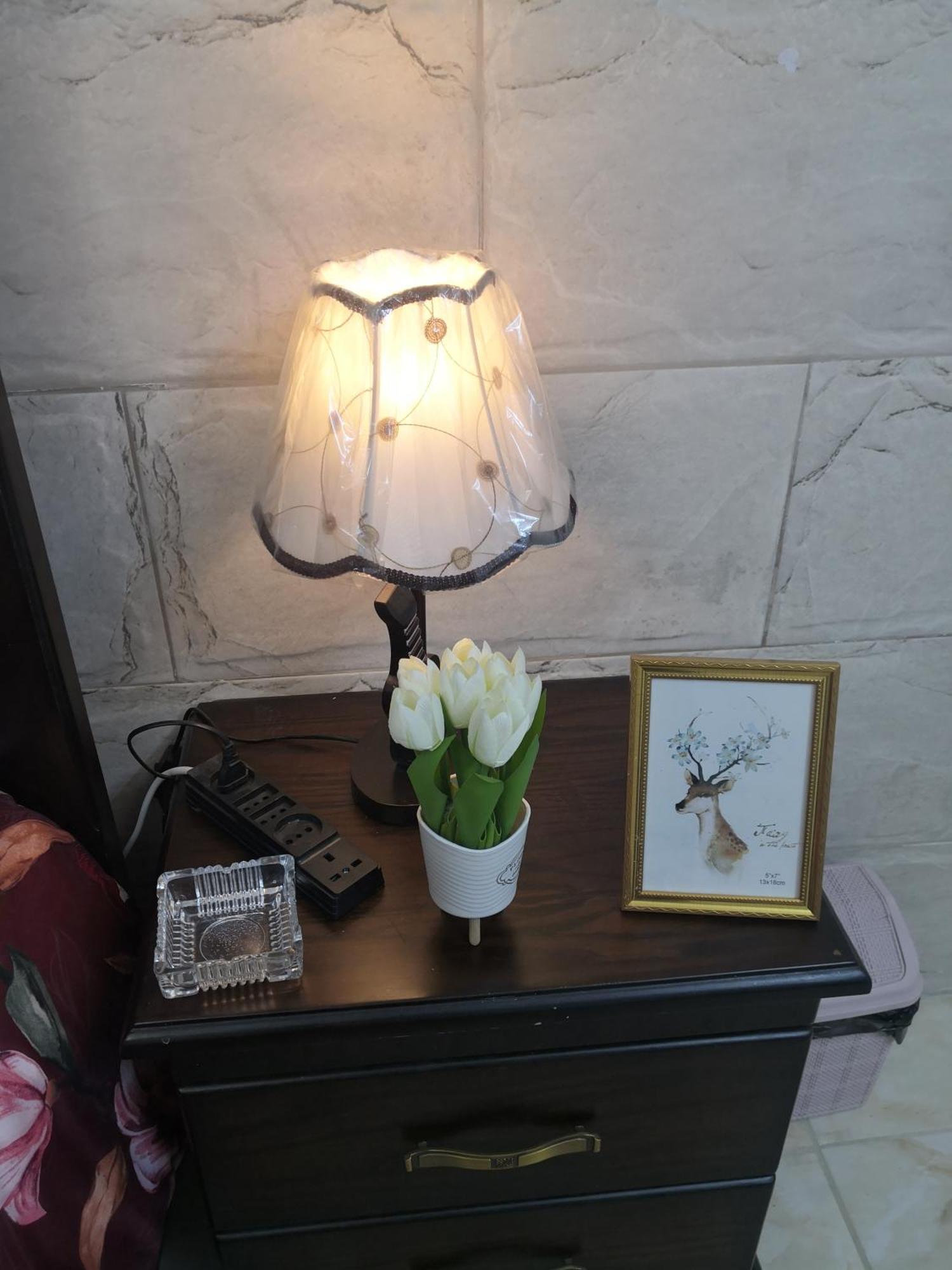 White Tulips Apartment الزنبقة البيضاء Jarash Exterior photo