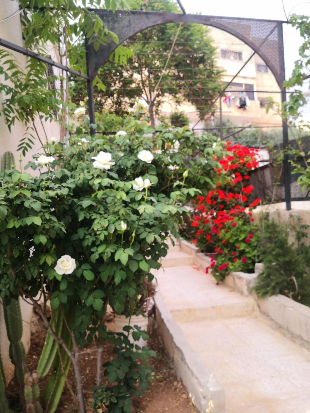 White Tulips Apartment الزنبقة البيضاء Jarash Exterior photo