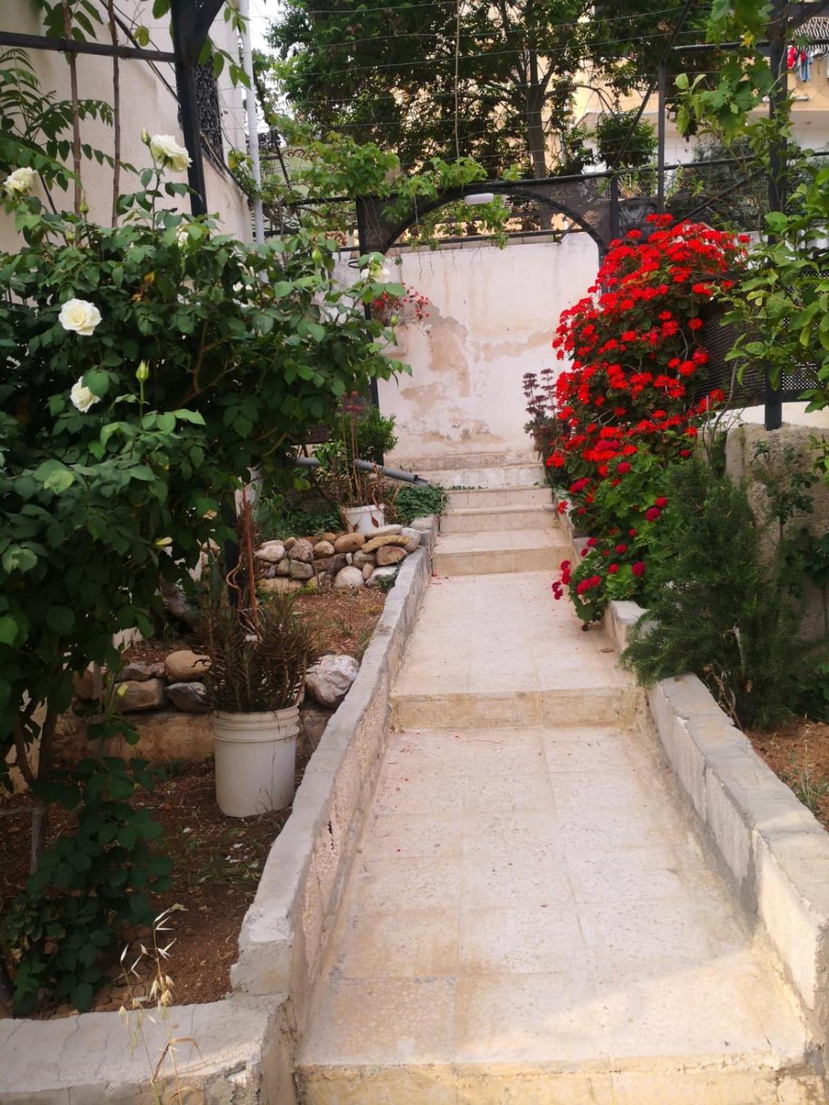White Tulips Apartment الزنبقة البيضاء Jarash Exterior photo
